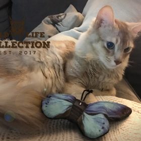Wild Life Cat  speelgoed Blauwe Vlinder - 100% gevuld met kattenkruid