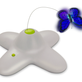 AFP Interactive Flutterbug