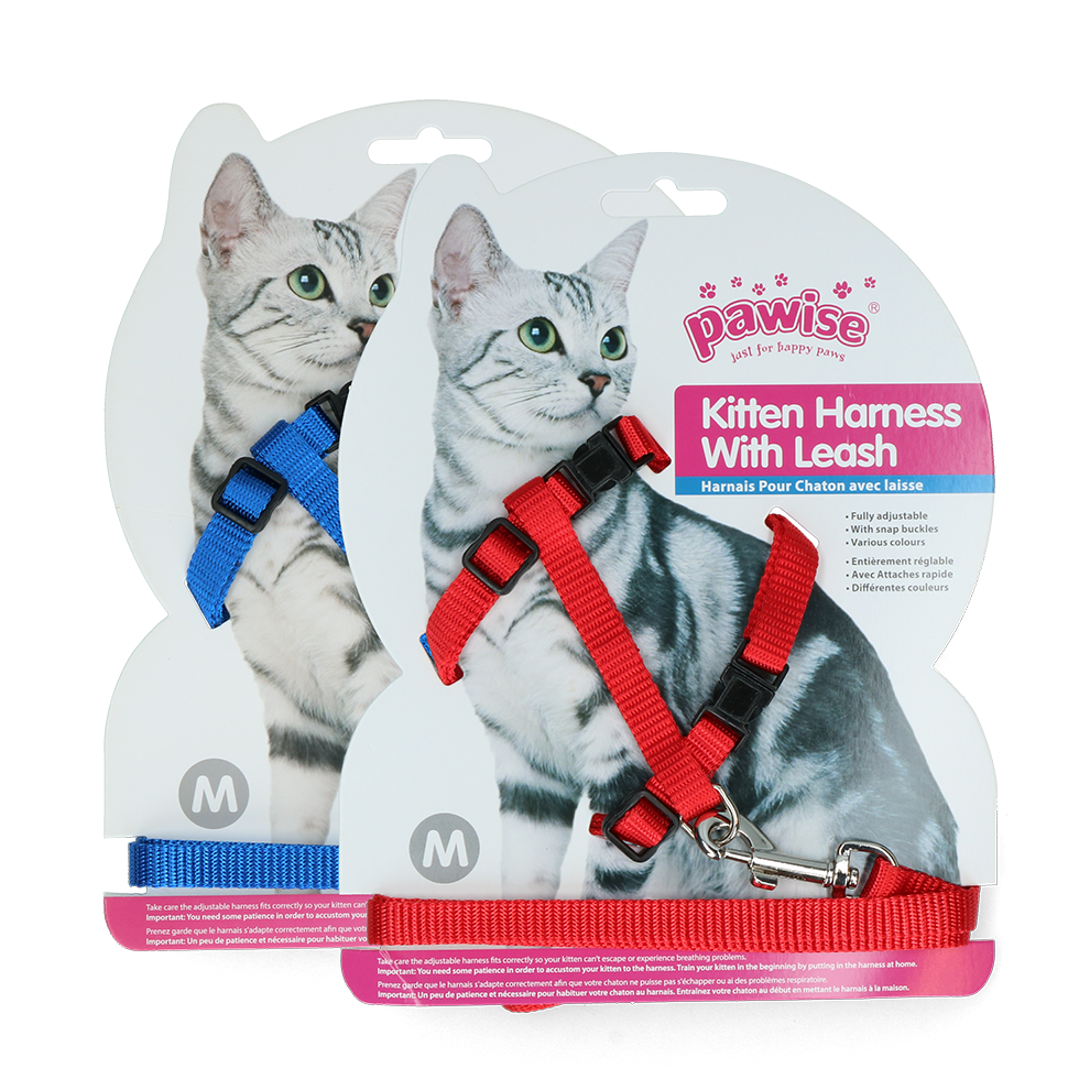 Pawise Kitten Harnas Rood/Blauw + 3 maten