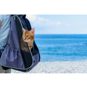 "Ga op avontuur met je kat met onze stijlvolle en comfortabele kattenrugzakken!"

Wil je je kat overal mee naartoe nemen? Onze kattenrugzakken zijn de perfecte oplossing! Speciaal ontworpen om zowel comfort als veiligheid te bieden, zijn onze rugzakken gemaakt van duurzame materialen en hebben ze een ventilatiesysteem om ervoor te zorgen dat je kat altijd comfortabel is. Ideaal voor wandelingen, uitstapjes of zelfs een bezoekje aan de dierenarts. Laat je kat de wereld ontdekken zonder stress!

Bekijk onze collectie en kies de perfecte rugzak voor jou en je harige vriend!