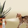 Ssscat afweer spray voor katten 115 ML - Afbeelding 3