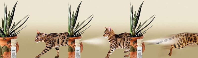 Ssscat afweer spray voor katten 115 ML - Afbeelding 3