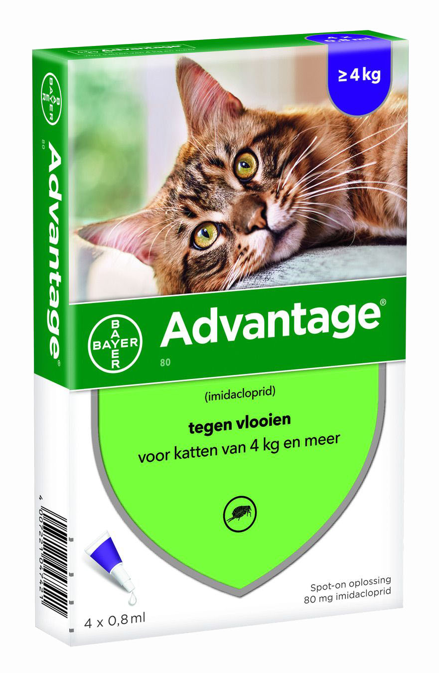 Bayer advantage kat 80 VANAF 4 KG 4 PIP