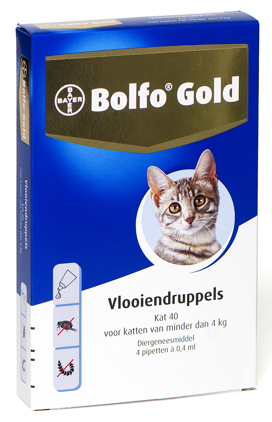 Bolfo gold kat vlooiendruppels 40 4 PIPET