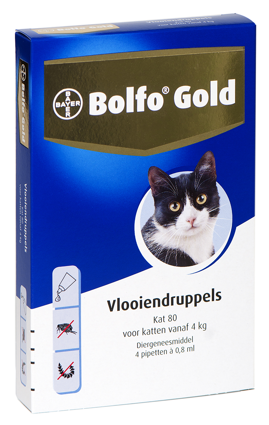 Bolfo gold kat vlooiendruppels 80 4 PIPET
