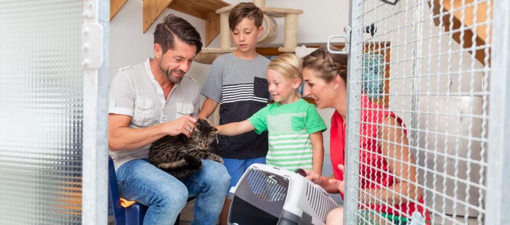 Gezin dat kennismaakt met een kat in een dierenasiel