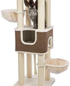 Trixie Krabpaal Humberto XXL – Extra stevig comfort voor grote katten